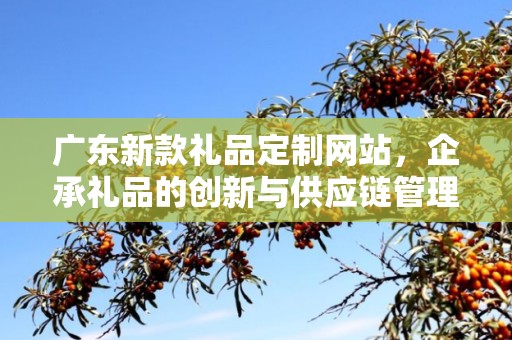 广东新款礼品定制网站，企承礼品的创新与供应链管理之道