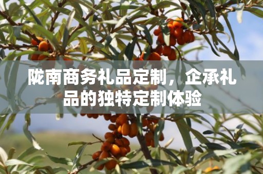陇南商务礼品定制，企承礼品的独特定制体验