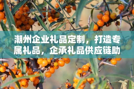 潮州企业礼品定制，打造专属礼品，企承礼品供应链助力商务往来