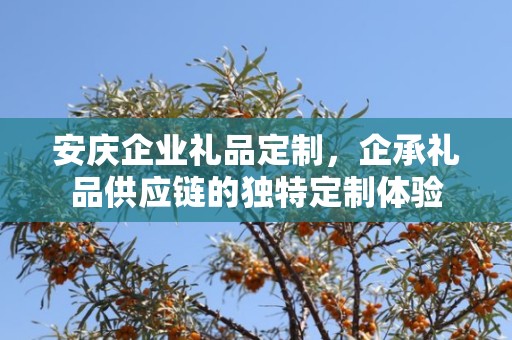 安庆企业礼品定制，企承礼品供应链的独特定制体验