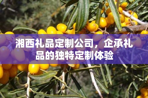 湘西礼品定制公司，企承礼品的独特定制体验