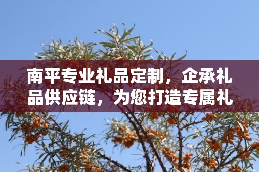 南平专业礼品定制，企承礼品供应链，为您打造专属礼品