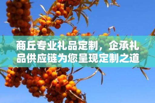 商丘专业礼品定制，企承礼品供应链为您呈现定制之道的魅力