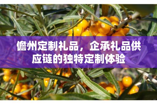 儋州定制礼品，企承礼品供应链的独特定制体验