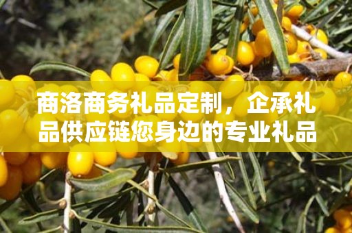 商洛商务礼品定制，企承礼品供应链您身边的专业礼品定制公司