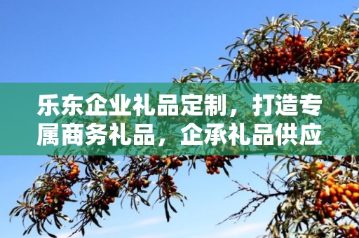乐东企业礼品定制，打造专属商务礼品，企承礼品供应链助力企业福利升级