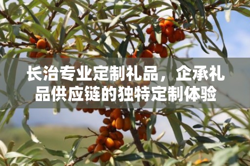 长治专业定制礼品，企承礼品供应链的独特定制体验