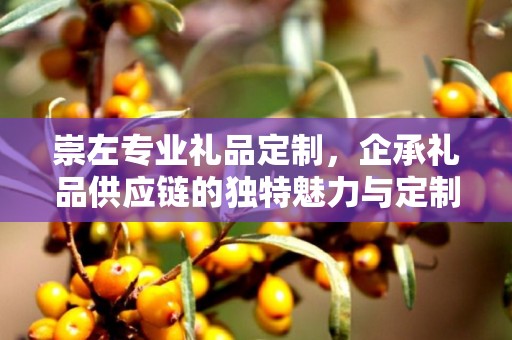 崇左专业礼品定制，企承礼品供应链的独特魅力与定制之旅