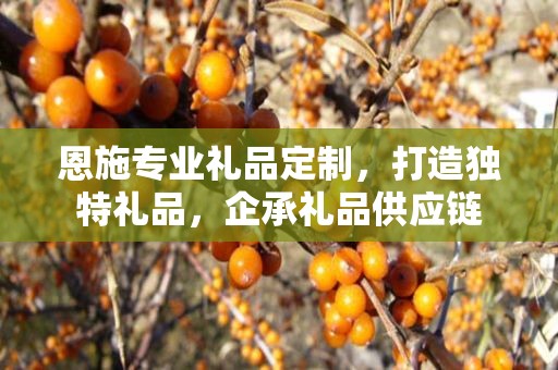 恩施专业礼品定制，打造独特礼品，企承礼品供应链