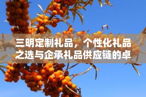 三明定制礼品，个性化礼品之选与企承礼品供应链的卓越服务